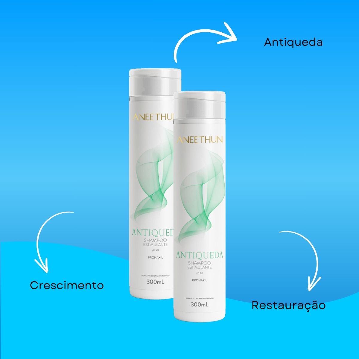 Kit Aneethun Antiqueda 2 Shampoo Estimulante 300 ml