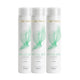 Kit Aneethun Antiqueda 3 Shampoo Estimulante 300 ml