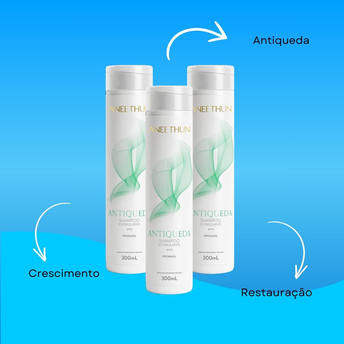 Kit Aneethun Antiqueda 3 Shampoo Estimulante 300 ml