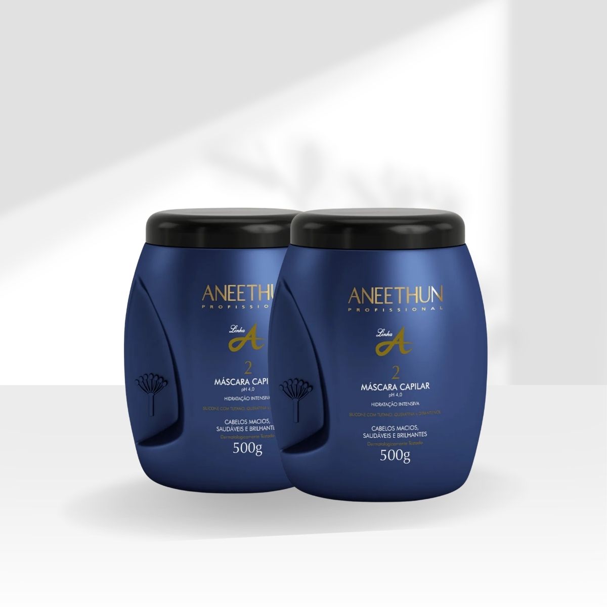 Kit Aneethun Linha A 2 Máscara Capilar 500 g