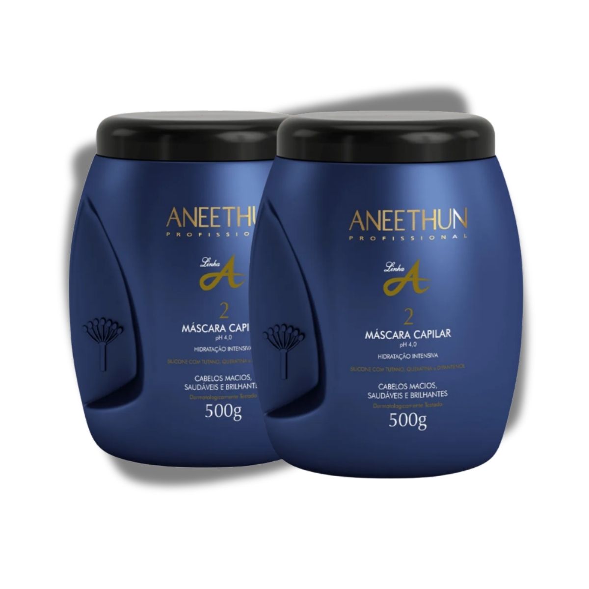 Kit Aneethun Linha A 2 Máscara Capilar 500 g
