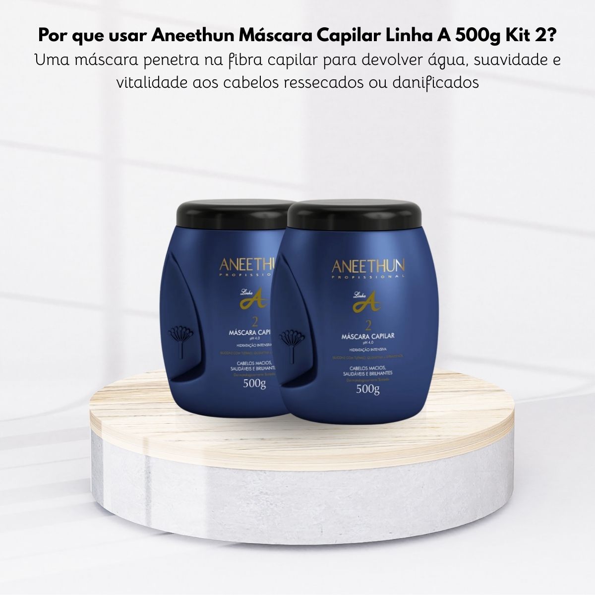 Kit Aneethun Linha A 2 Máscara Capilar 500 g
