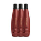 Kit Aneethun Force 3 Shampoo Fortalecedor 300 ml