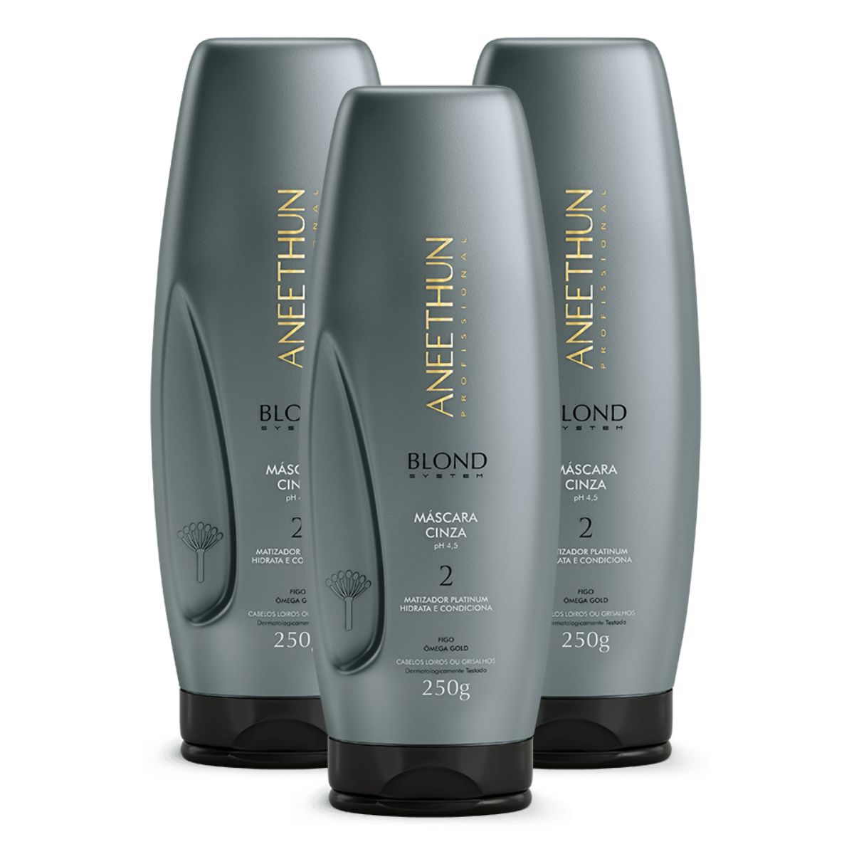 Kit Aneethun Blond System 3 Máscara Cinza 250 g
