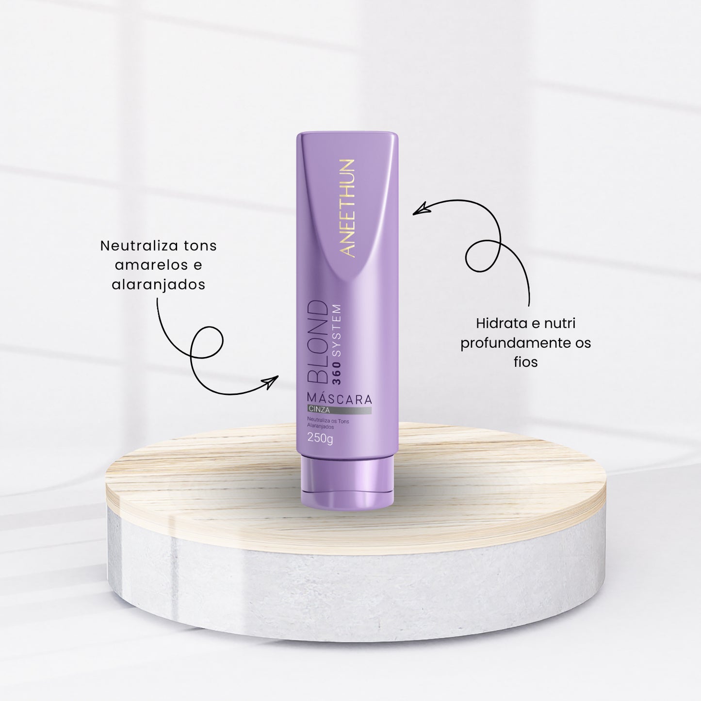 Kit Aneethun Blond 360 Matizador Shampoo 300g + Máscara Cinza 250g