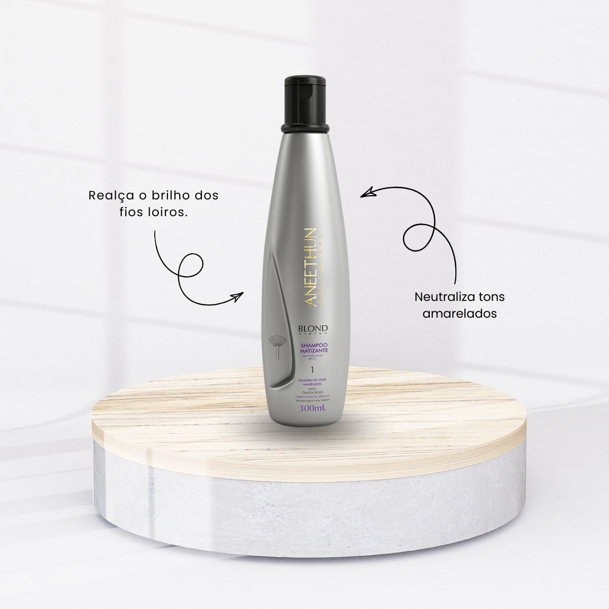 Kit Aneethun Blond Shampoo Matizante 300 ml + Máscara Cinza 250 g