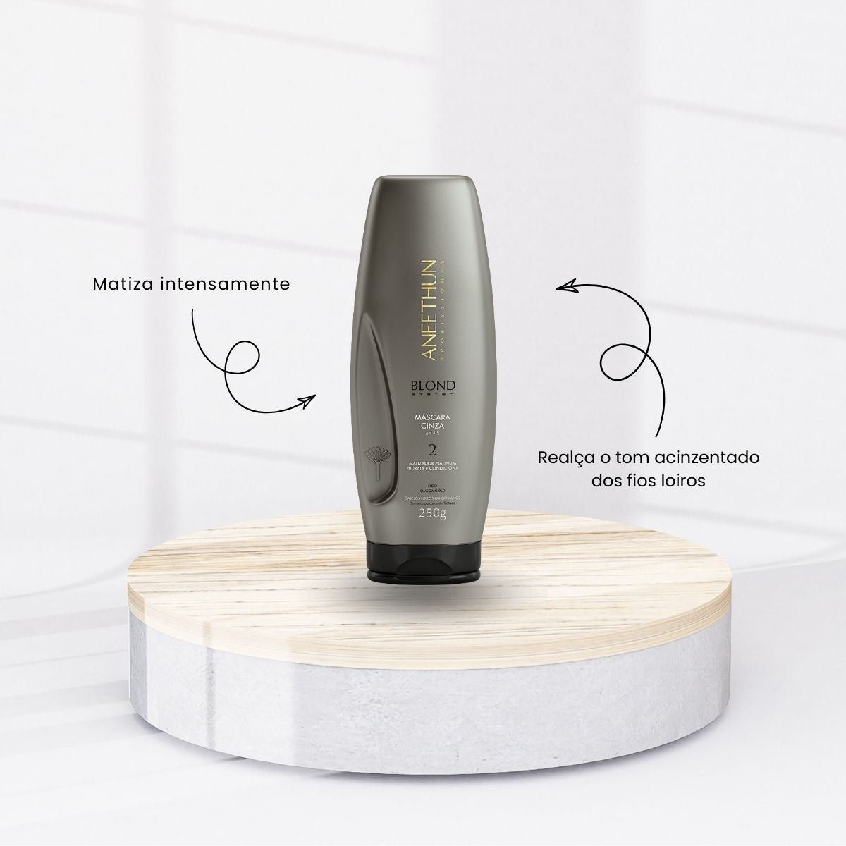 Kit Aneethun Blond Shampoo Matizante 300 ml + Máscara Cinza 250 g