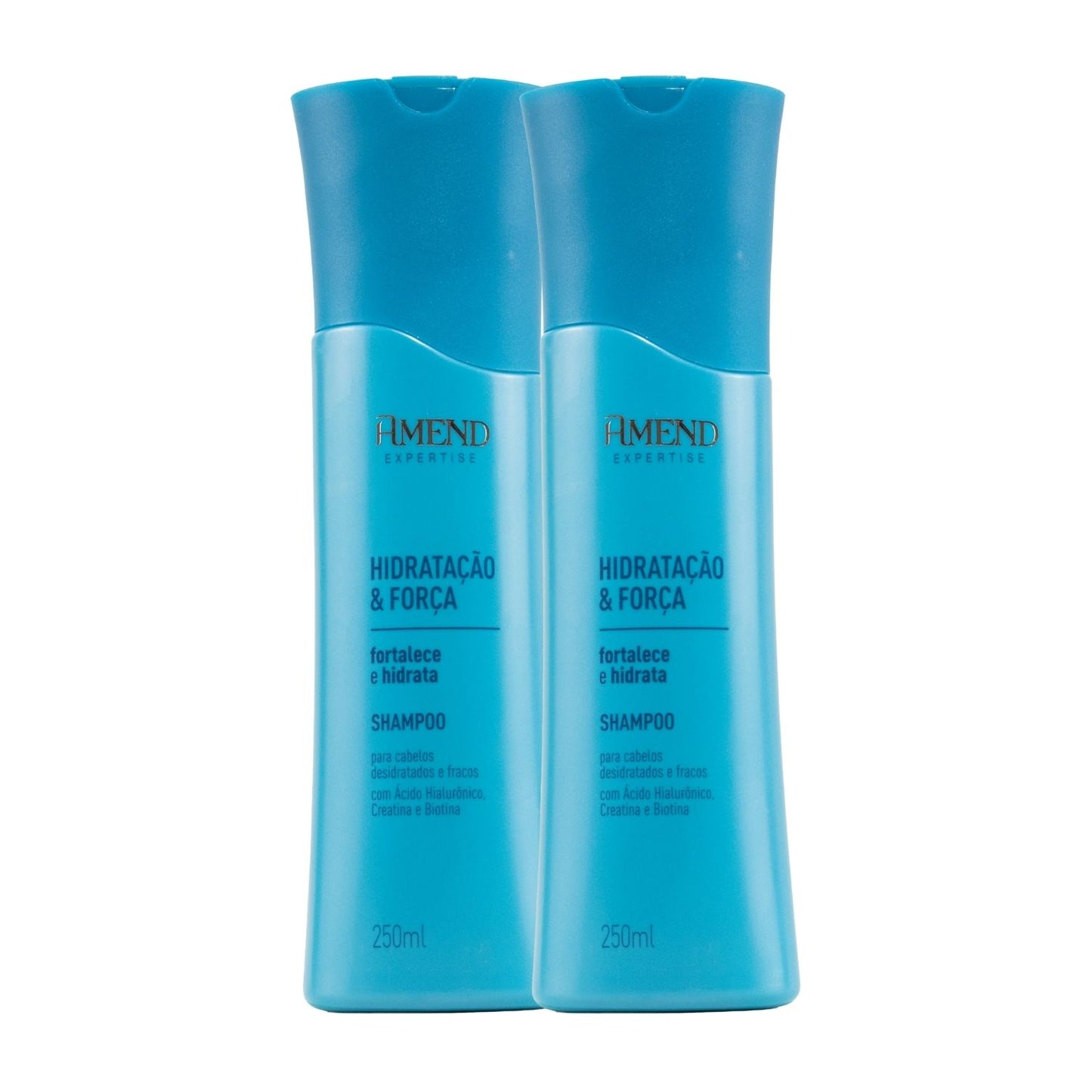 Kit Amend Hidratacao Forca 2 Shampoo 250 ml