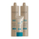 Kit Shampoo Condicionador Leave In Lowell Mirtilo Equilíbrio (3 Produtos)