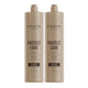 Kit Shampoo Lowell Protect Care Tratamento Diário Salon Duo