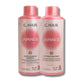 Progressiva G.Hair Escova Japonesa Tratamento Antifrizz (2 x 1 Litro)